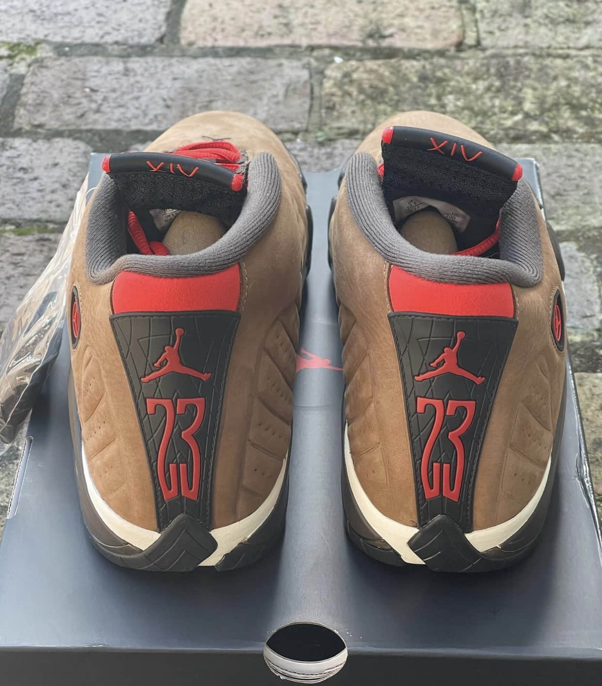全新AJ14实物上脚图曝光!颜值一绝! 货号:DO9406-200
