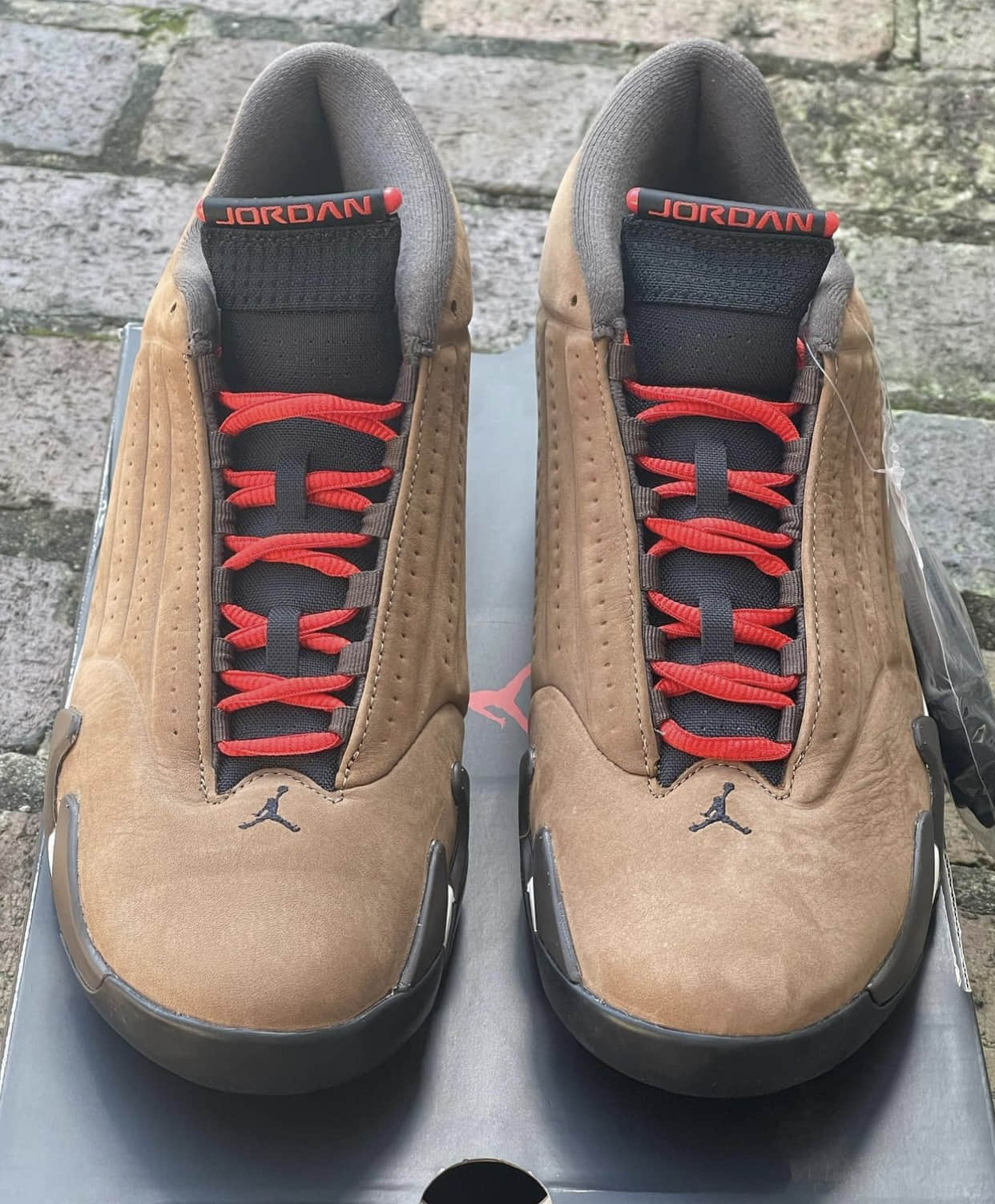 全新AJ14实物上脚图曝光!颜值一绝! 货号:DO9406-200