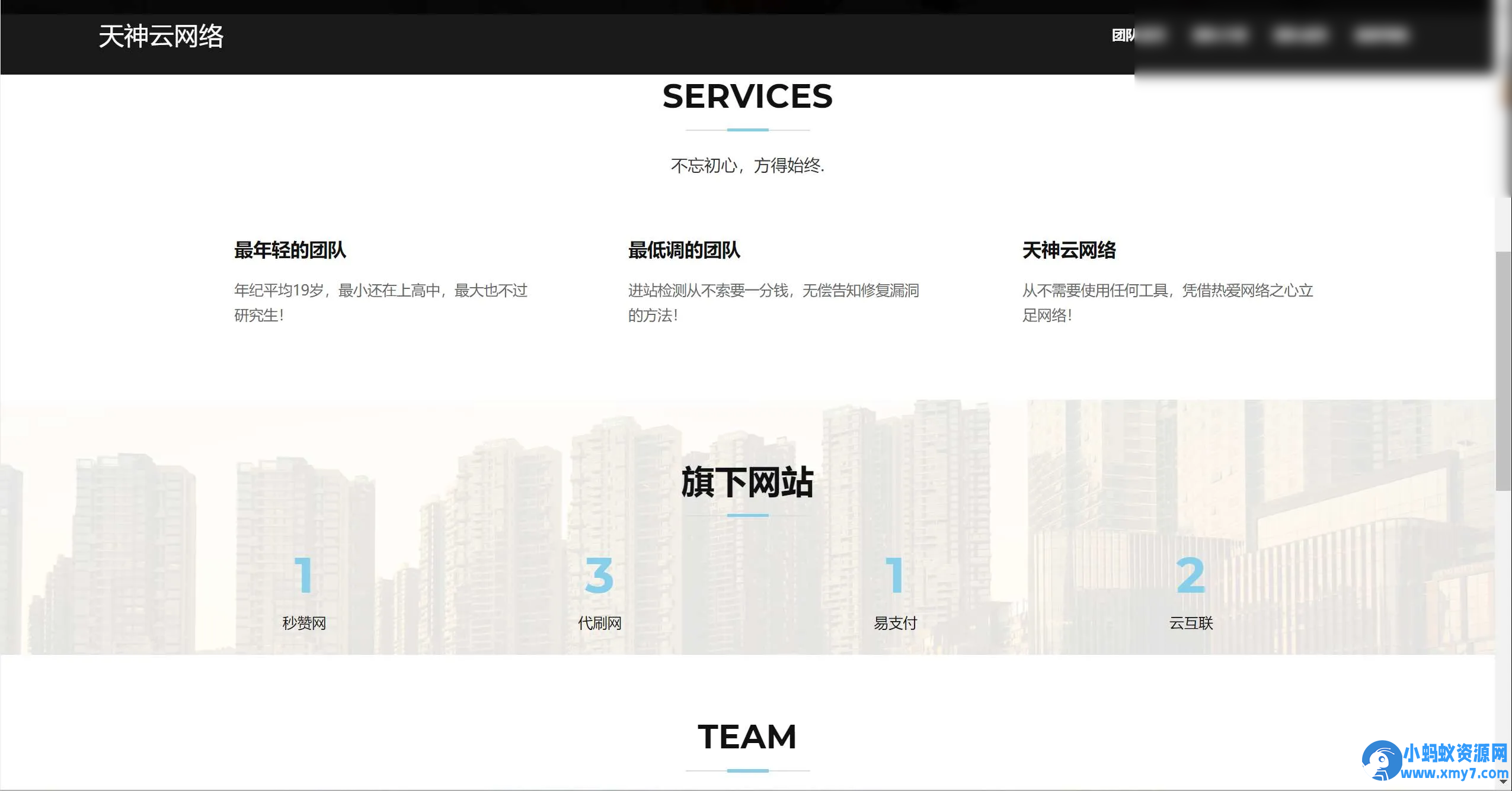 网络科技团队源码+查询成员+后台 源码 - 图片1