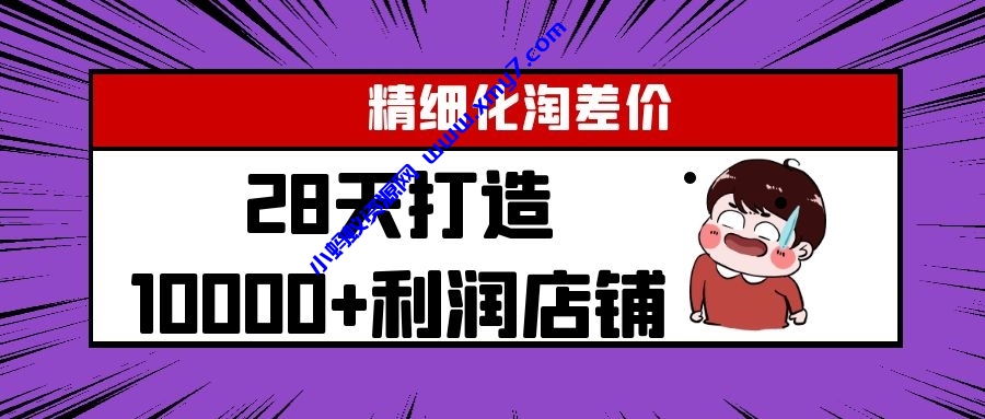 YL精细化淘差价28天打造10000+利润店铺，精细化选品项目（附软件） - 图片1