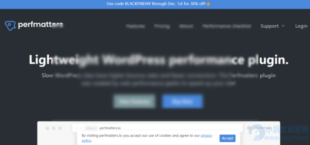 WordPress性能优化插件–Perfmatters v2.5.6 破解版下载 - 图片1