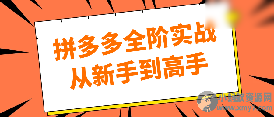 拼多多全阶实战从新手到高手 - 图片1