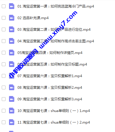 《淘宝内训社》淘宝蓝海暴利产品操盘内训 - 图片1