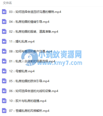 苍蝇和他的私房摄影摆姿课视频教程 - 图片1