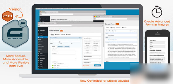 WordPress 表单插件–Gravity Forms v2.9.14 破解版下载 - 图片1