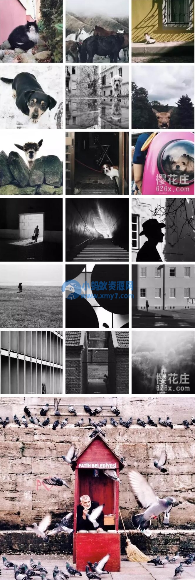 韩松手机摄影系列课程 零基础学手机摄影(30节课) - 图片1