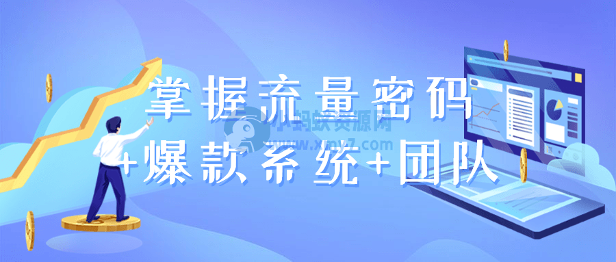 掌握流量密码+爆款系统+团队 - 图片1