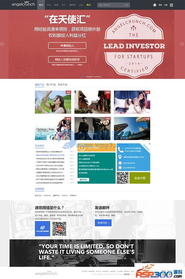 迪恩网络angel风格企业网站模板 discuz模板 - 图片1