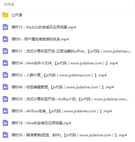 大数据人工智能用户画像解决方案视频教程 - 图片1