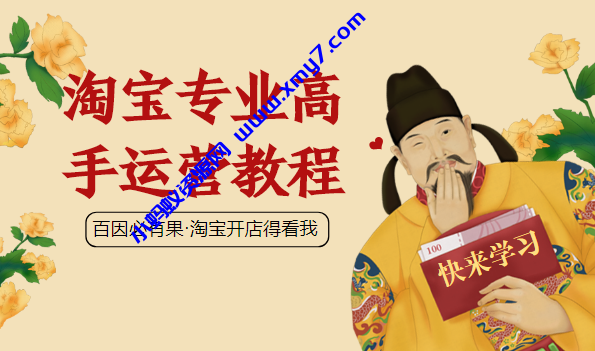 不做野战军，淘宝专业高手运营教程 - 图片1