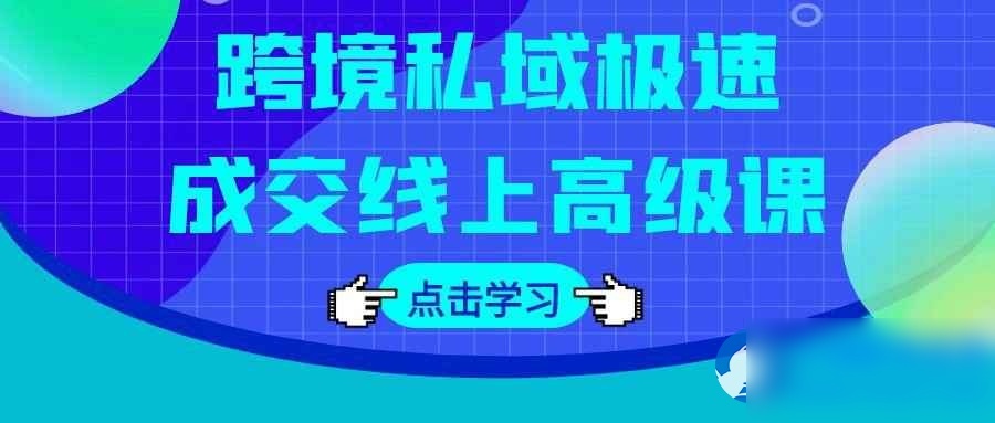 跨境私域极速成交线上高级课 - 图片1