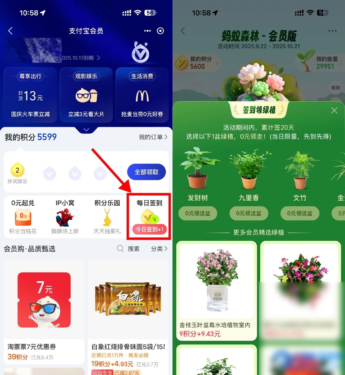支付宝蚂蚁森林签20天领绿植 - 图片1