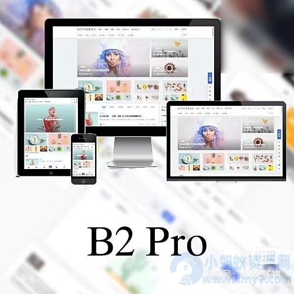 WordPress B2 Pro 主题5.2.0最新版本，欢乐版，包含官方包体和授权文件 - 图片1