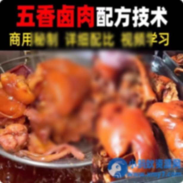 【五香卤肉教程】2025视频教程新手自学零基础精通教学课程 - 图片1