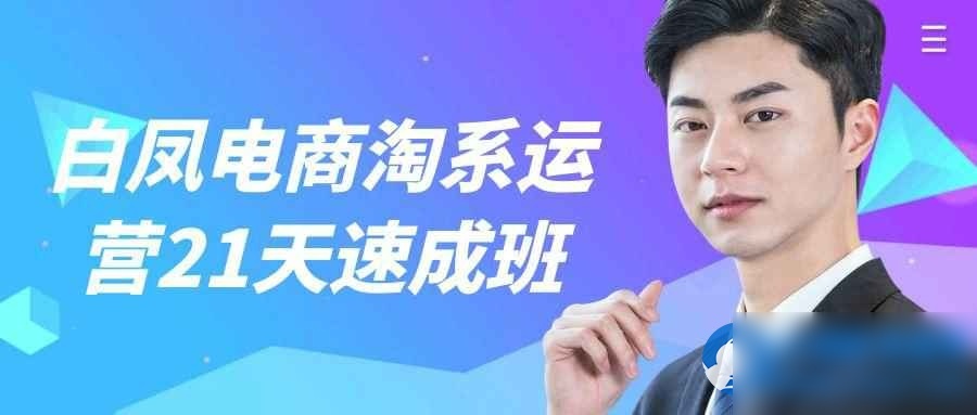 白凤电商淘系运营21天速成班 - 图片1