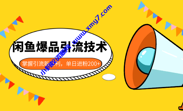 闲鱼爆品引流技术1.0，掌握引流新红利，单日进粉200+ - 图片1