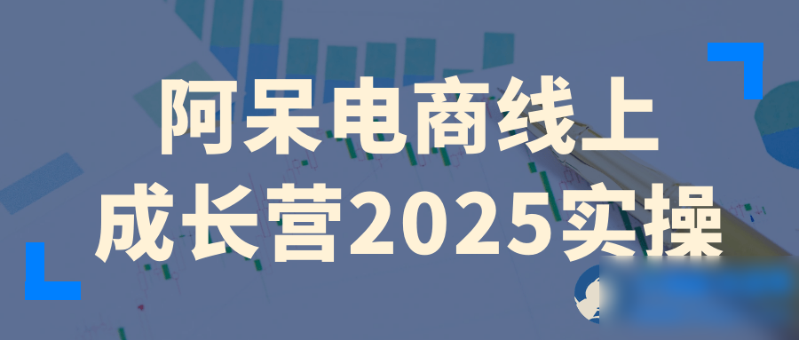 阿呆电商线上成长营2025实操 - 图片1