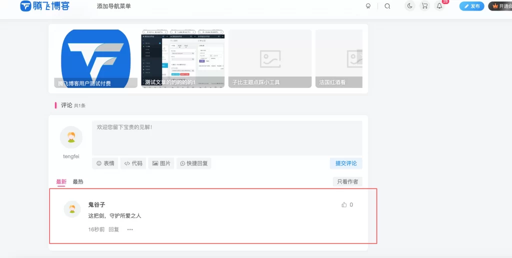 WordPress插件 – 自动评论插件_支持按板块评论 - 图片1