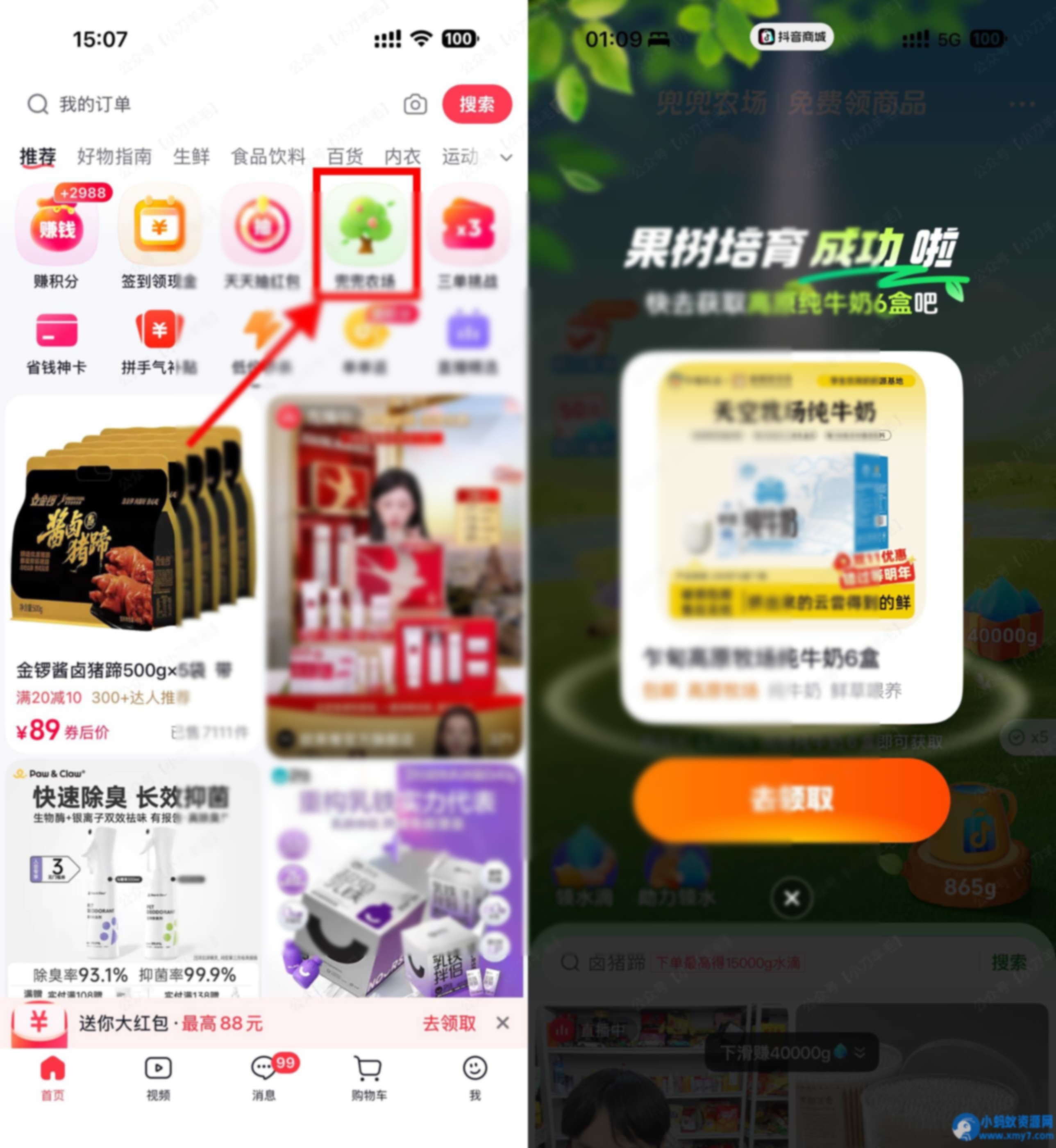 抖音商城果园种树免费得实物 - 图片1