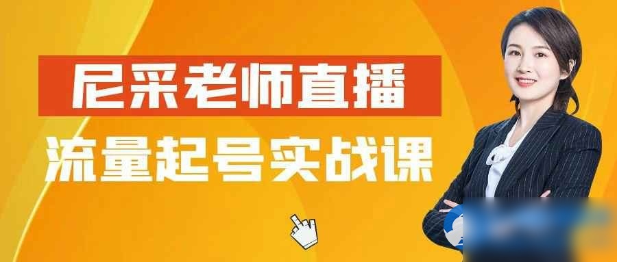 尼采老师直播流量起号实战课 - 图片1