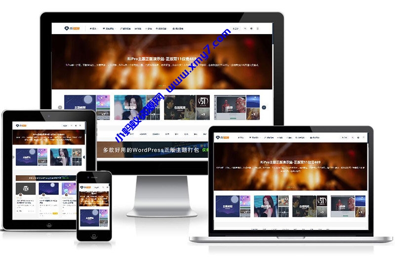 ripro9.0修正升级版(二开版本)+WP两款美化包+稀有插件 - 图片1