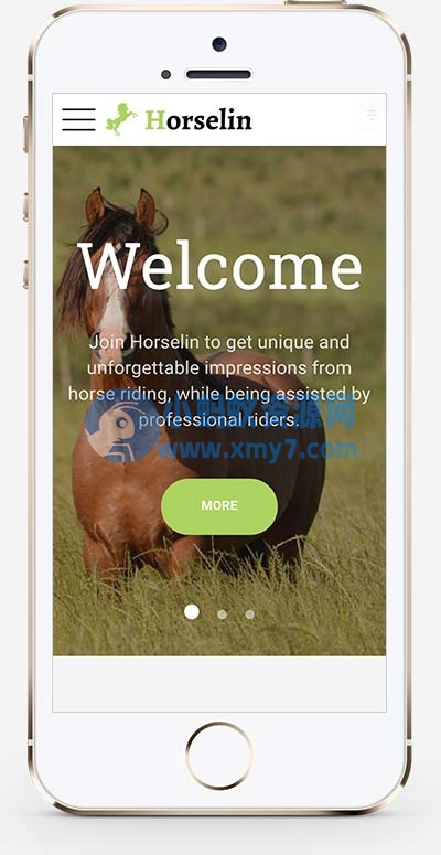 (自适应手机端)马匹饲养养殖场网站源码 养马场畜牧业英文网站pbootcms模板 - 图片1