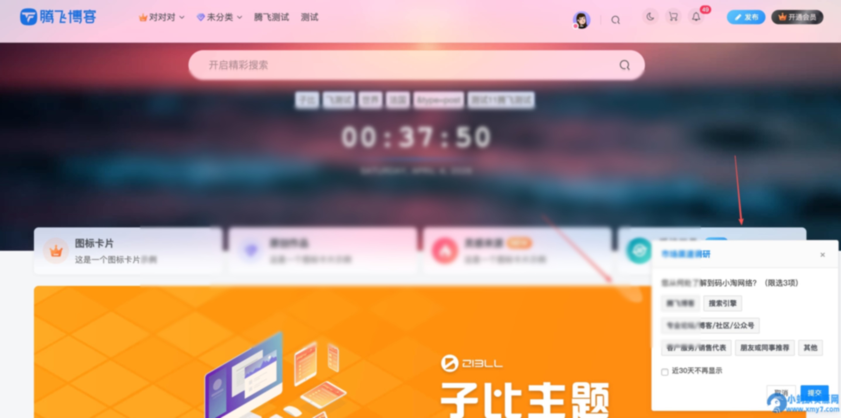 子比主题 – 右下角用户来源调研插件 - 图片1