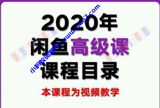 懒觉猫闲鱼初级课程+高级课程：教你60秒选出日赚300元闲鱼爆款产品 - 图片1