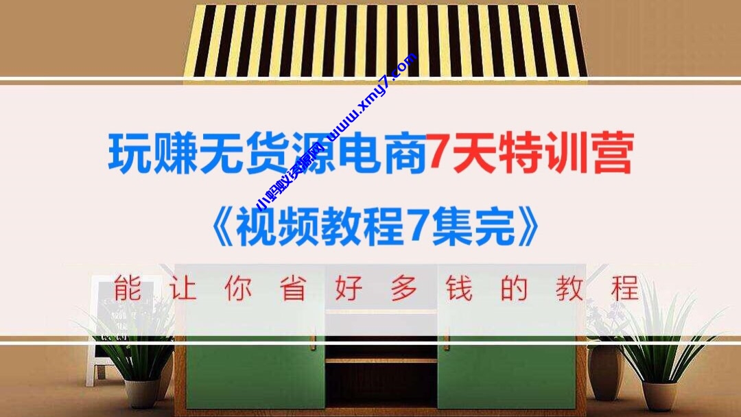 玩赚淘宝京东拼多多无货源电商7天训练营 - 图片1