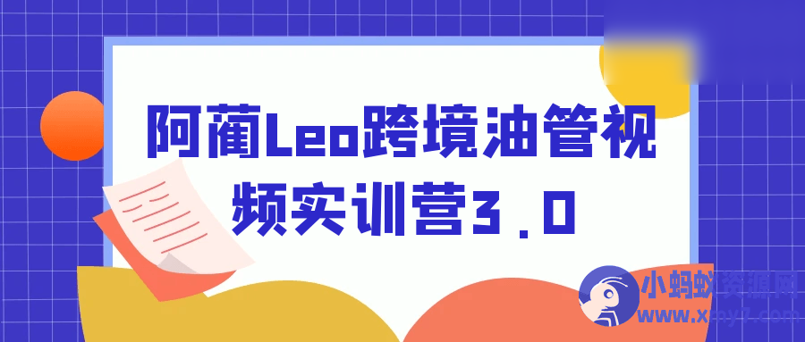 阿蔺Leo跨境油管视频实训营3.0 - 图片1