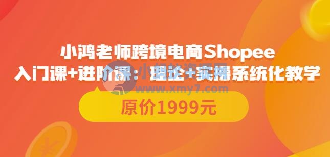 鸿老师跨境电商Shopee入门课+进阶课：理论+实操系统化教学（原价1999） - 图片1