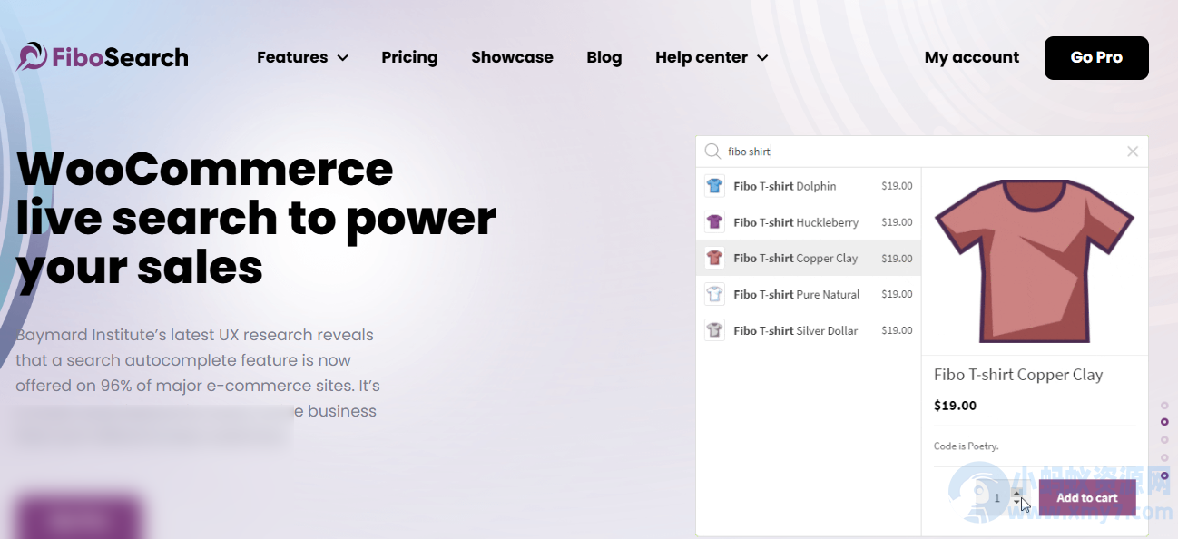 WordPress搜索插件–FiboSearch Pro v1.31.0 破解版下载 - 图片1