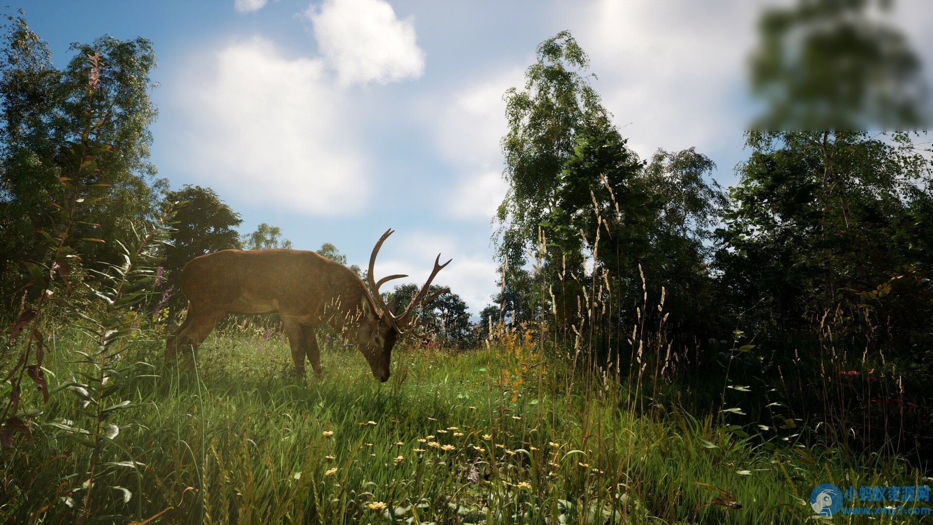 《恐惧地带》v1.3.9.1中文版 - 图片1