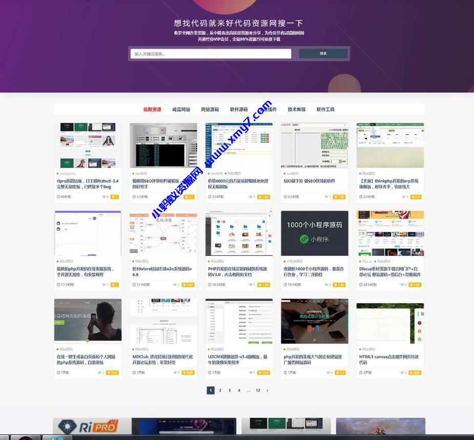 ripro9.0修正升级版+WP两款美化包+稀有插件 - 图片1